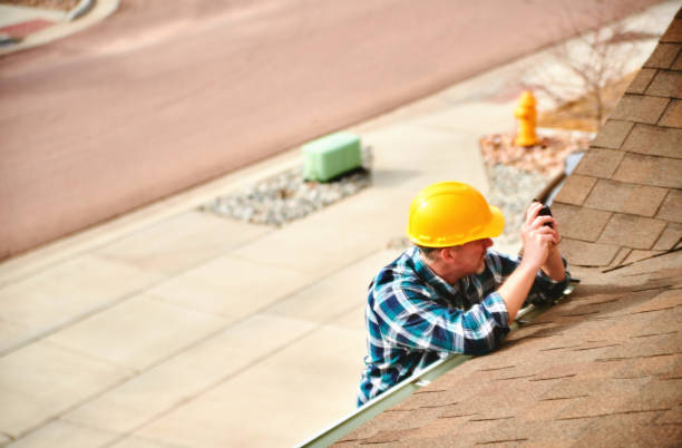 Best Roof Gutter Cleaning  in Falfurrias, TX