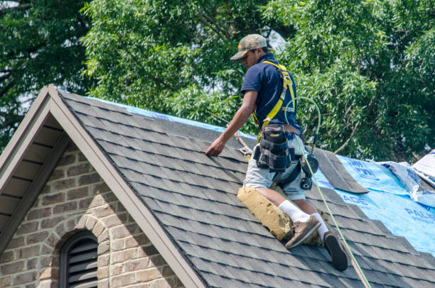 Best Storm Damage Roof Repair  in Falfurrias, TX